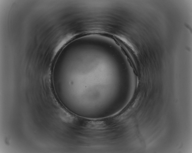 X0000092101325200709121537