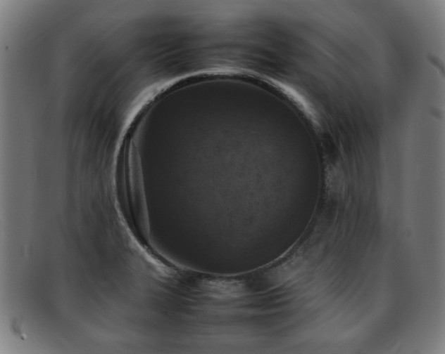 X0000092101327200709121537