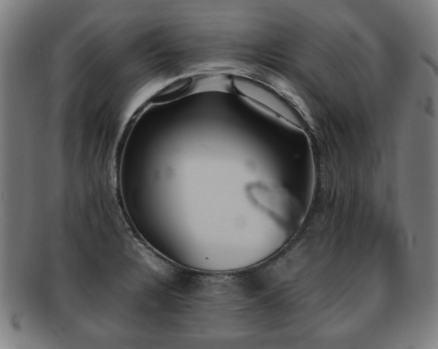 X0000092101328200709121537
