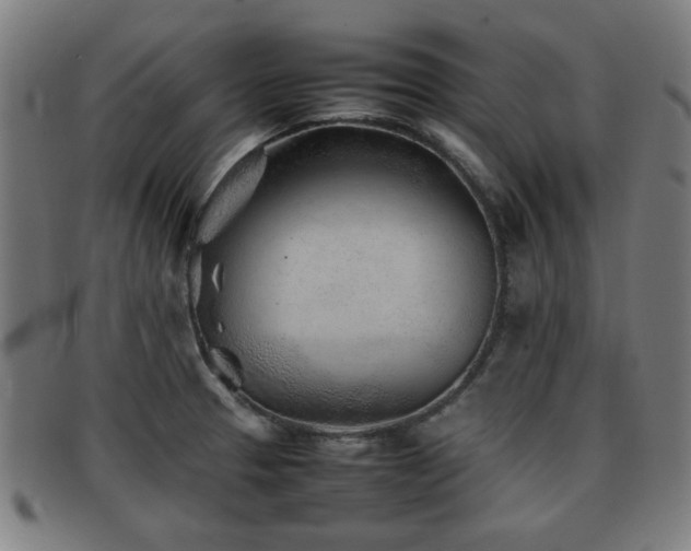X0000092101329200709121537