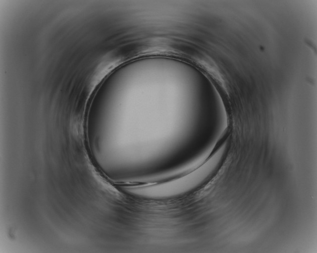 X0000092101330200709121537