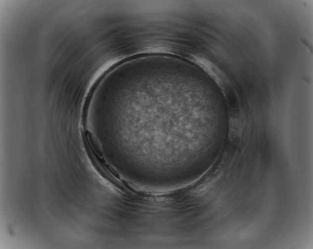 X0000092101331200709121537