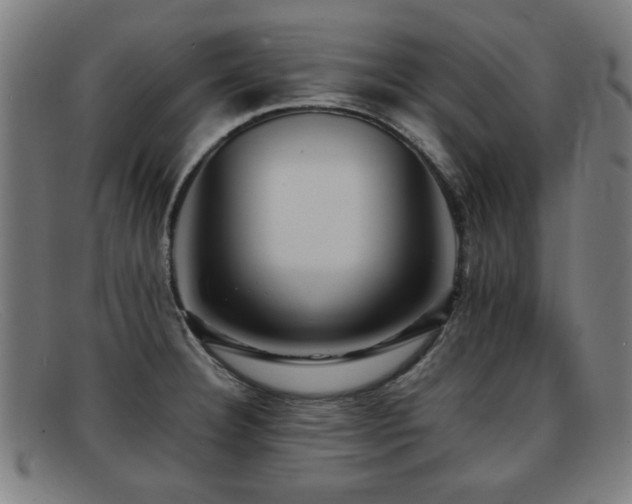 X0000092101332200709121537