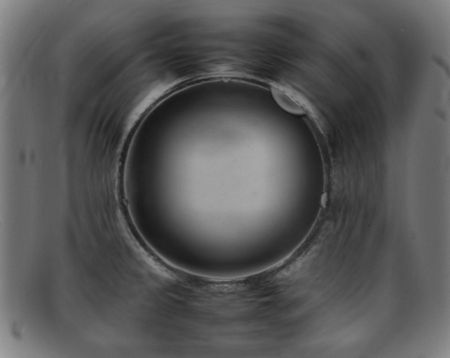 X0000092101333200709121537