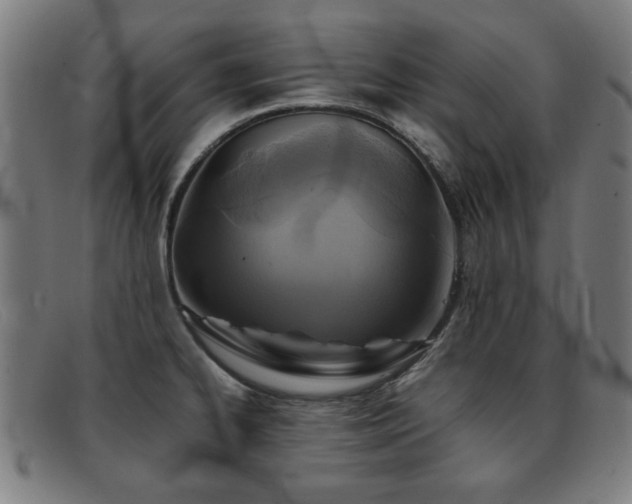 X0000092101334200709121537