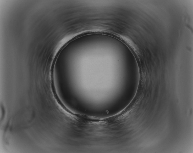 X0000092101335200709121537