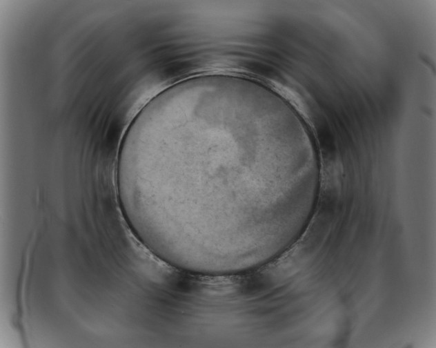 X0000092101338200709121537