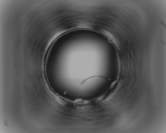 X0000092101339200709121537