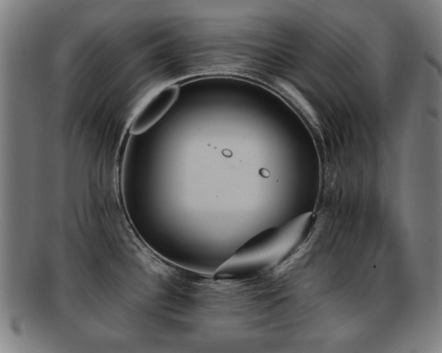 X0000092101340200709121537