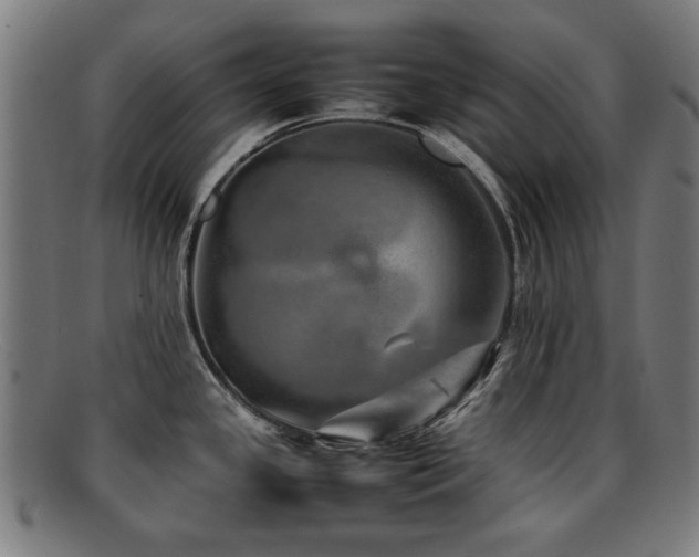 X0000092101341200709121537