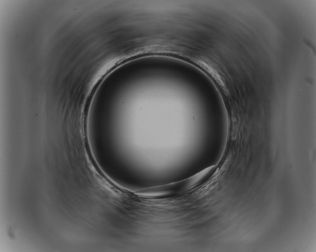 X0000092101342200709121537