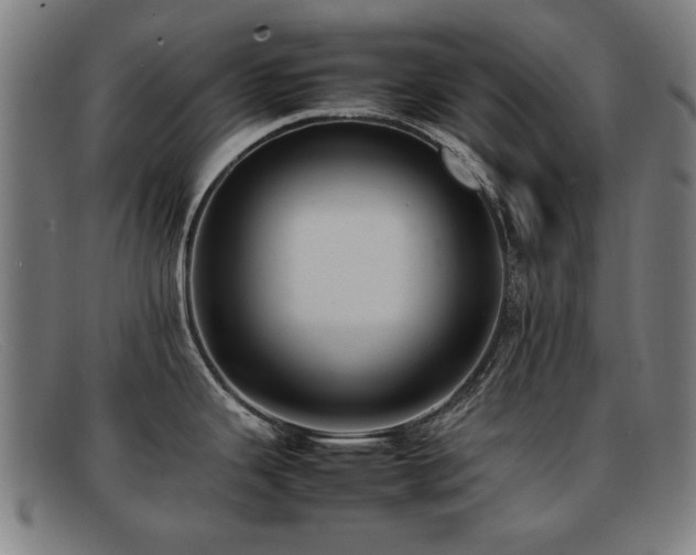 X0000092101343200709121537