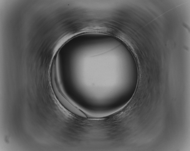 X0000092101344200709121537