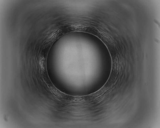 X0000092101346200709121537