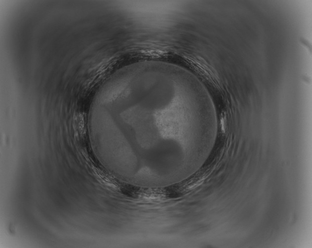 X0000092101347200709121537