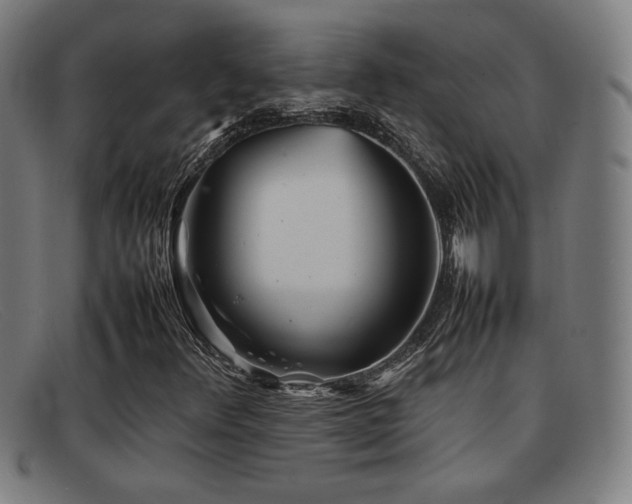 X0000092101348200709121537