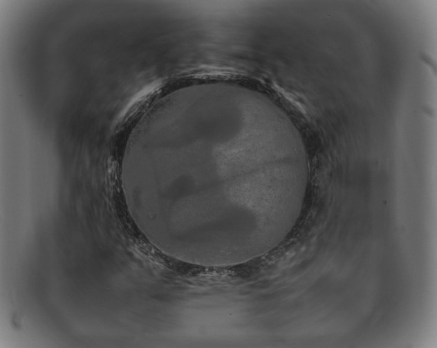 X0000092101351200709121537