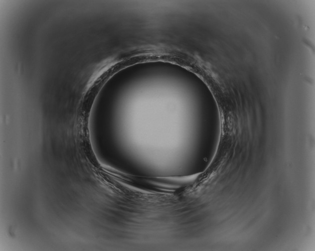 X0000092101352200709121537