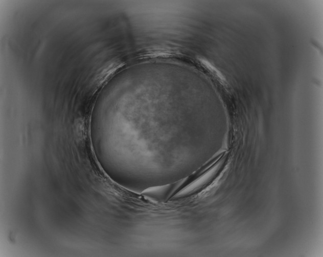 X0000092101353200709121537