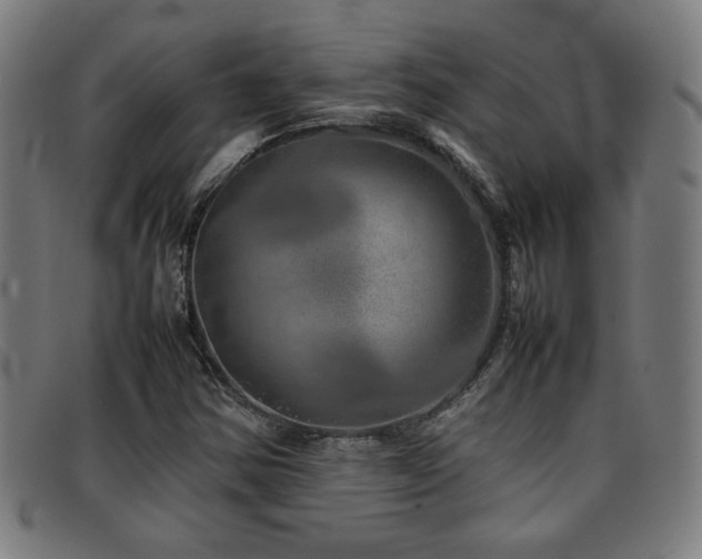 X0000092101354200709121537