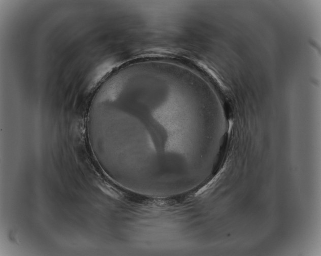X0000092101355200709121537