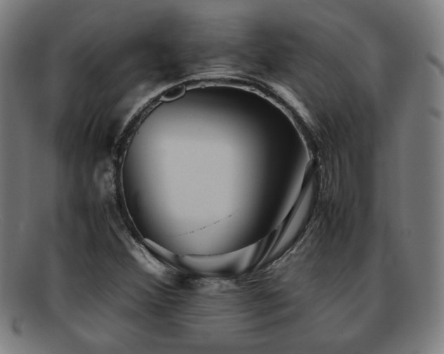 X0000092101356200709121537