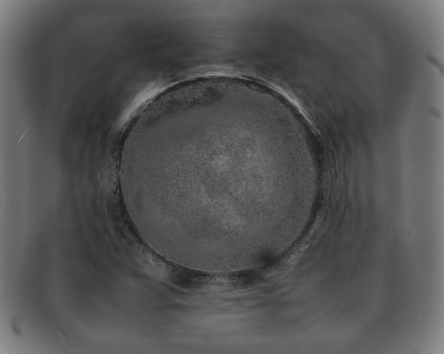 X0000092101359200709121537