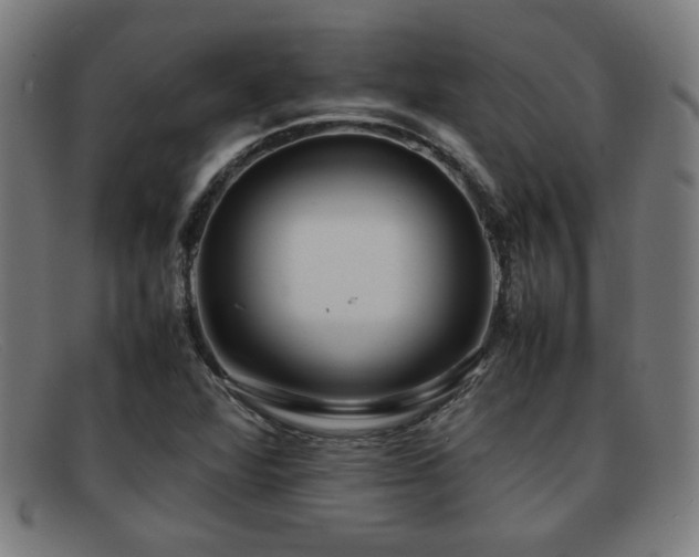 X0000092101360200709121537