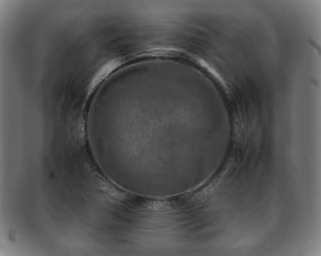 X0000092101362200709121537