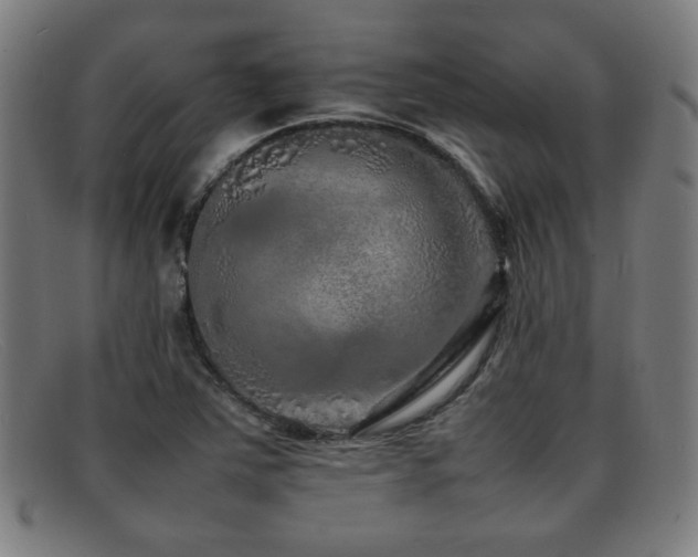 X0000092101363200709121537