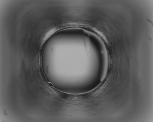 X0000092101365200709121537