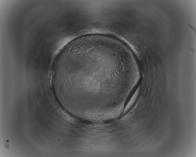 X0000092101367200709121537