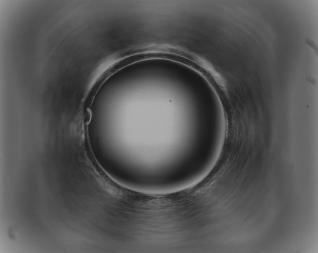 X0000092101368200709121536