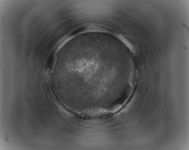 X0000092101369200709121536