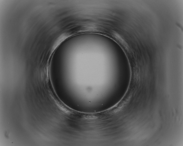 X0000092101370200709121536