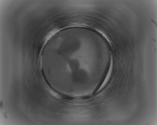 X0000092101371200709121536