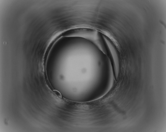 X0000092101372200709121536