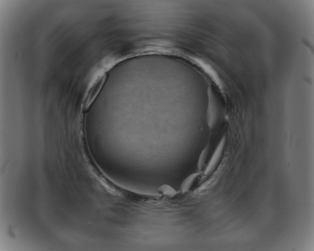 X0000092101373200709121536