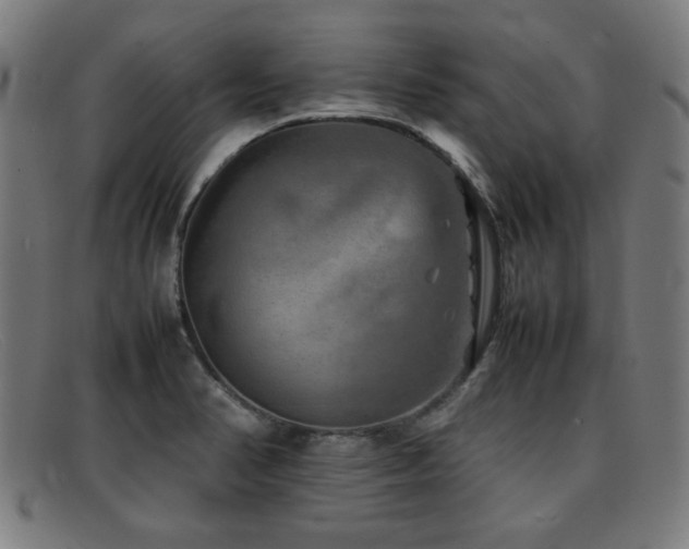 X0000092101374200709121536