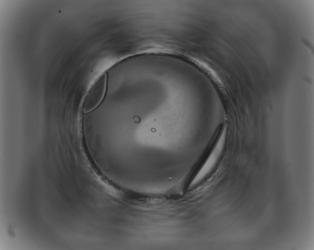 X0000092101375200709121536