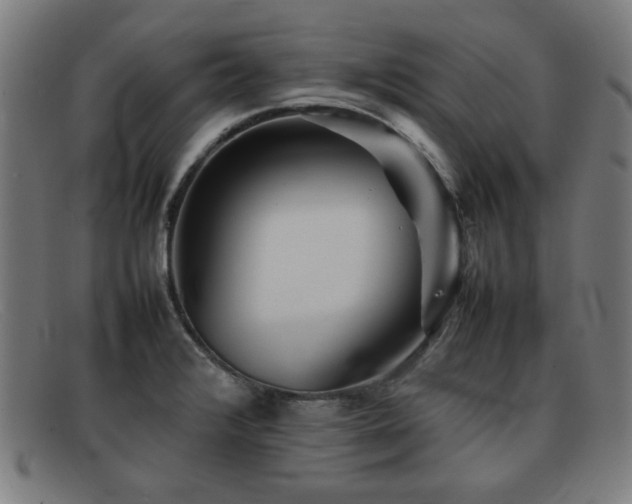 X0000092101376200709121536