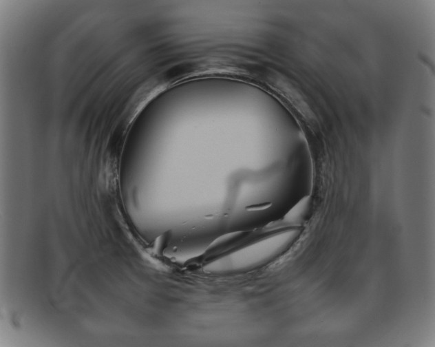 X0000092101377200709121536