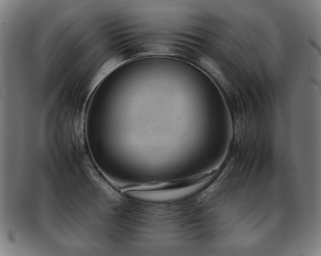 X0000092101378200709121536