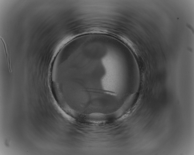 X0000092101379200709121536