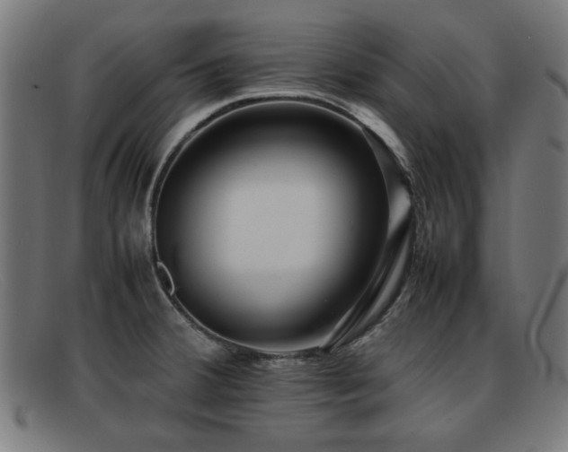 X0000092101380200709121536