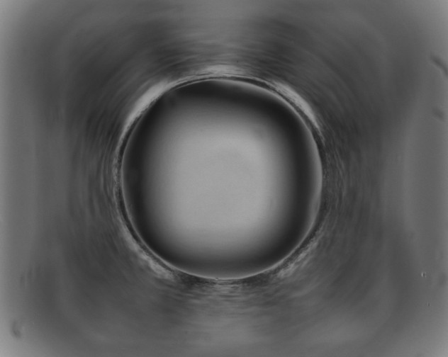 X0000092101381200709121536