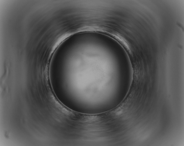 X0000092101382200709121536