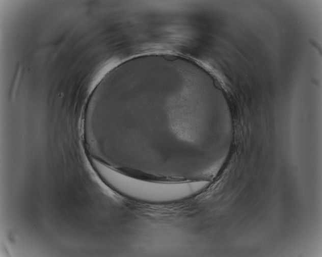 X0000092101383200709121536