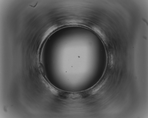 X0000092101384200709121536