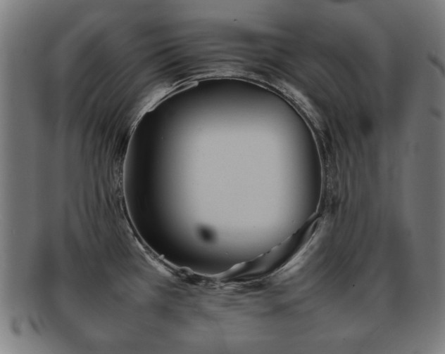 X0000092101385200709121536
